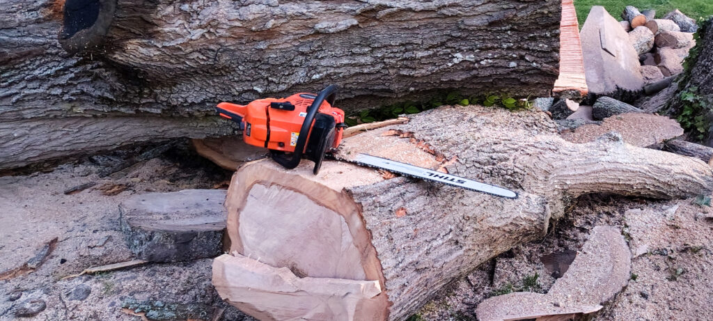 Chain saw sitting on tree stump