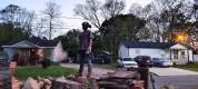 Tree care 5